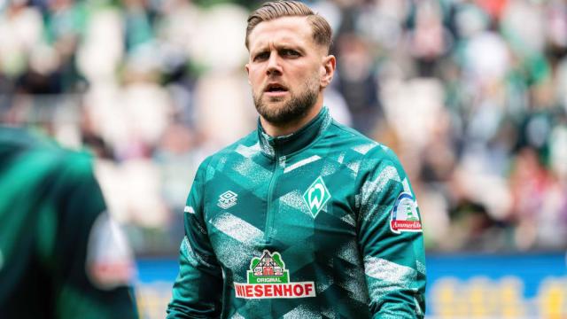 以其独特的 以其独特的