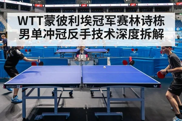 professional table tennis match